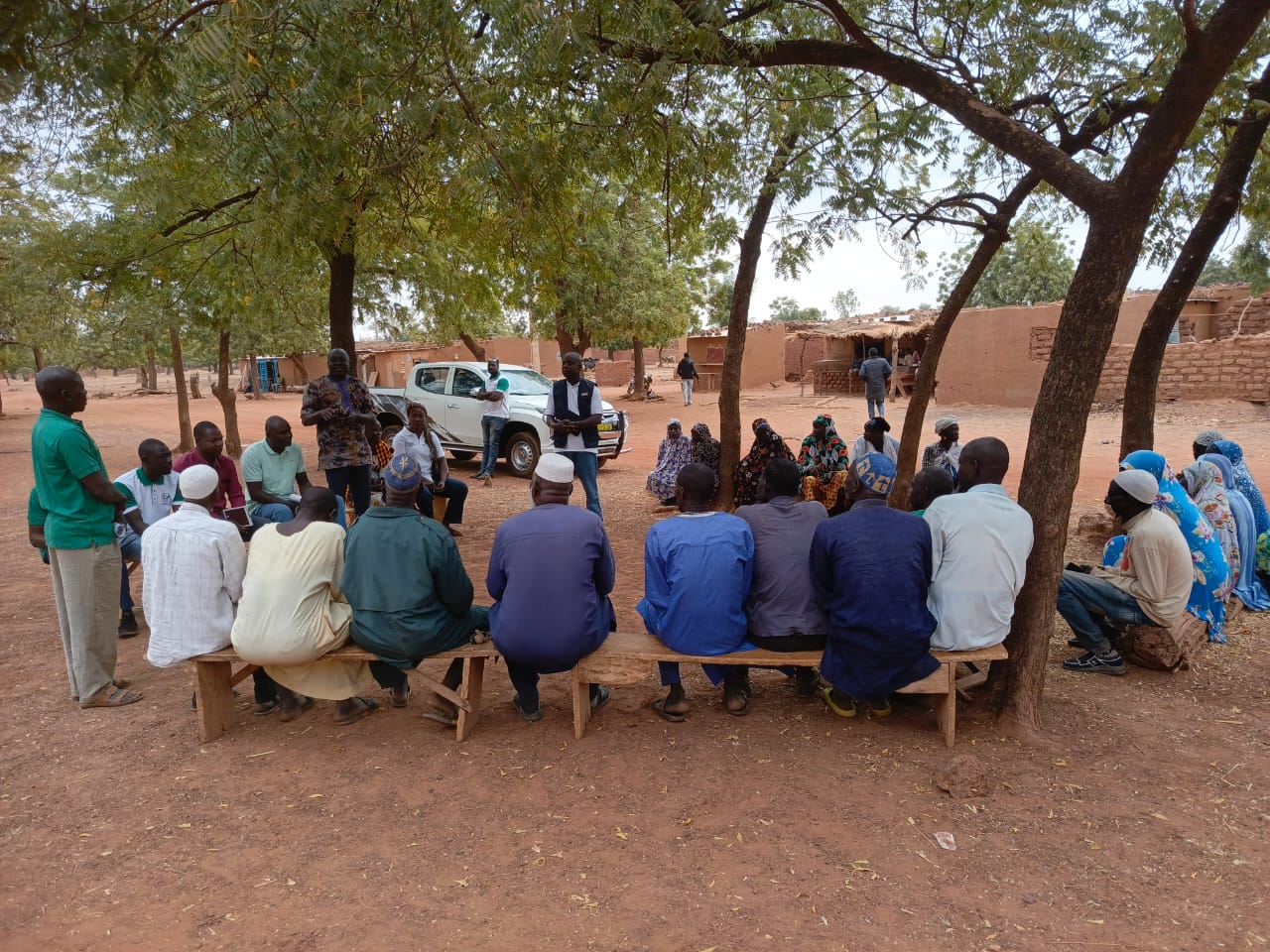 Image de l'activité