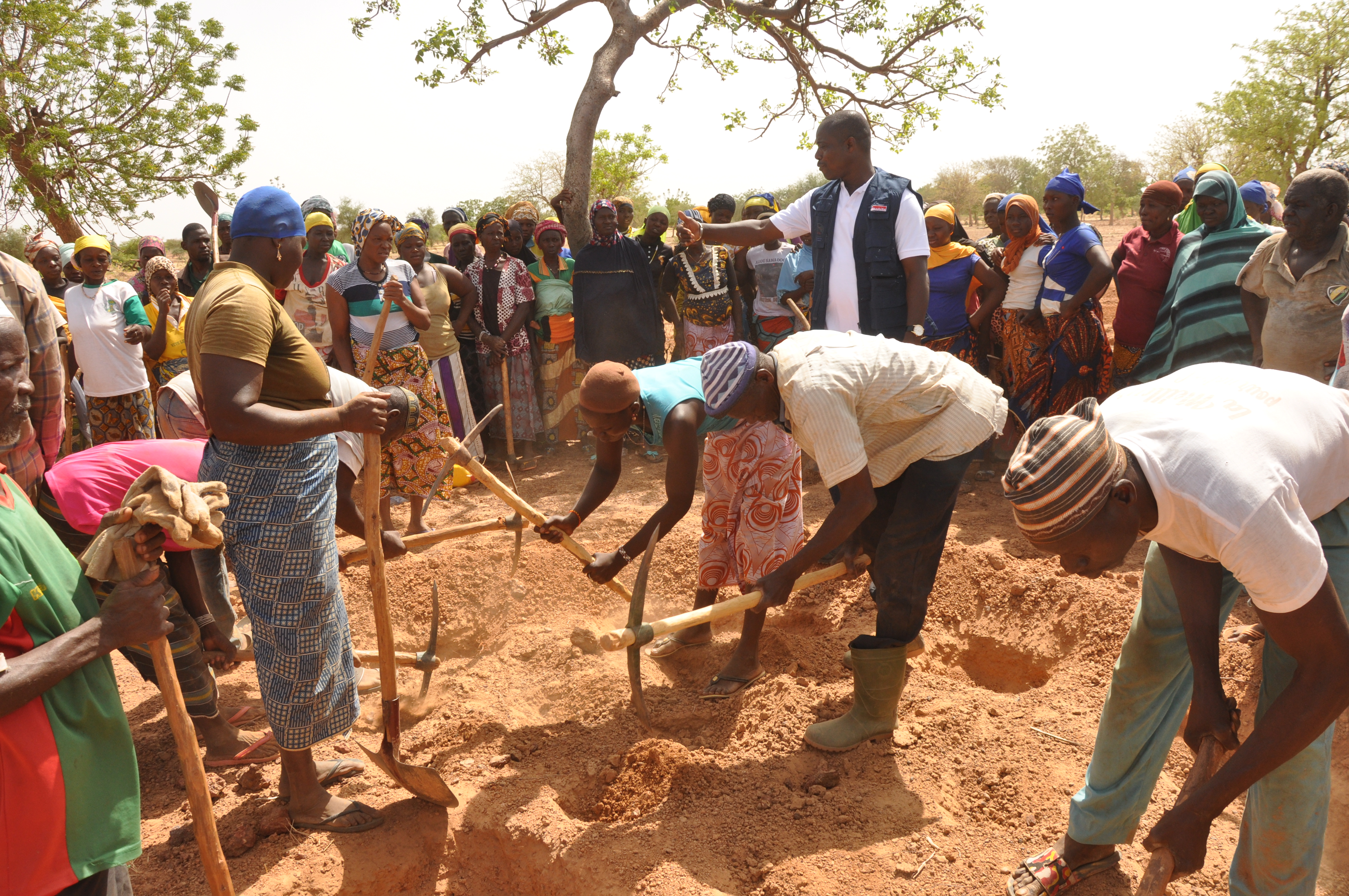 Image de l'activité